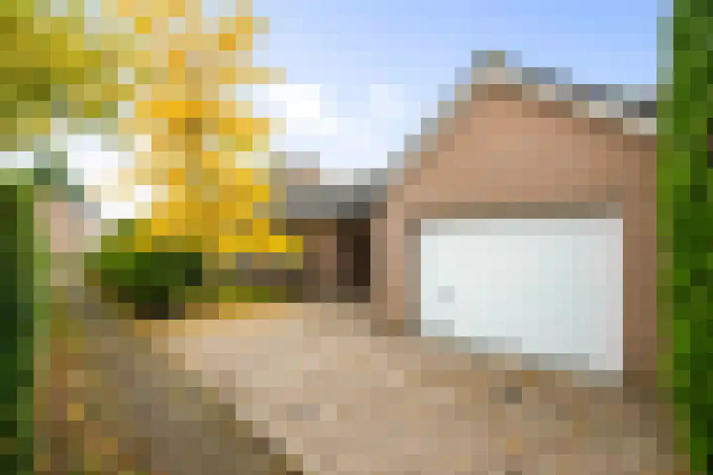 Burgemeester Bloemersstraat 59 Borculo thumbnail 43