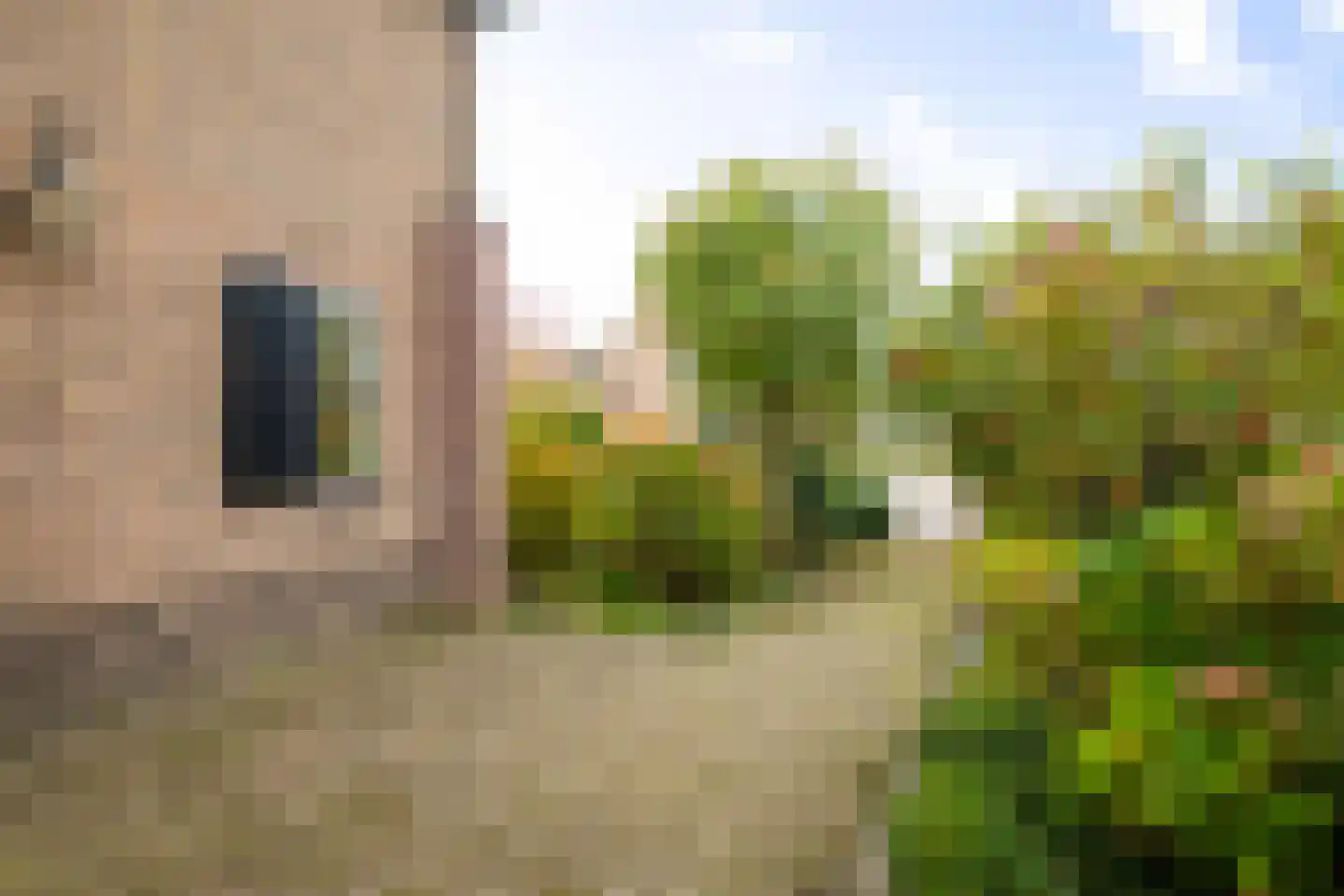 Burgemeester Bloemersstraat 59 Borculo thumbnail 49
