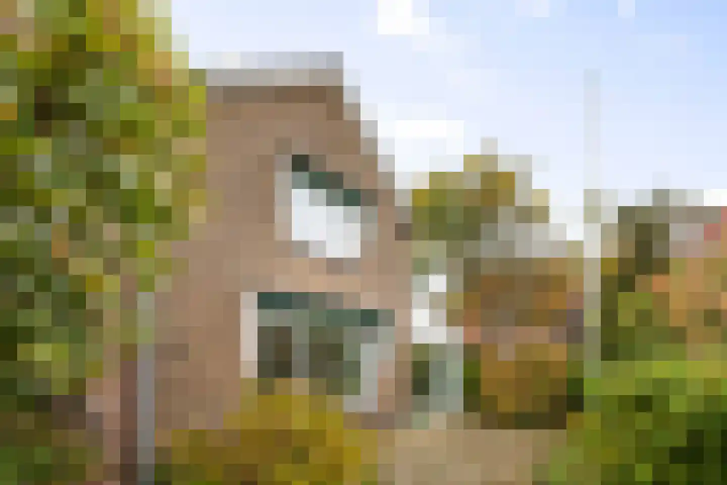 Burgemeester Bloemersstraat 59 Borculo thumbnail 50