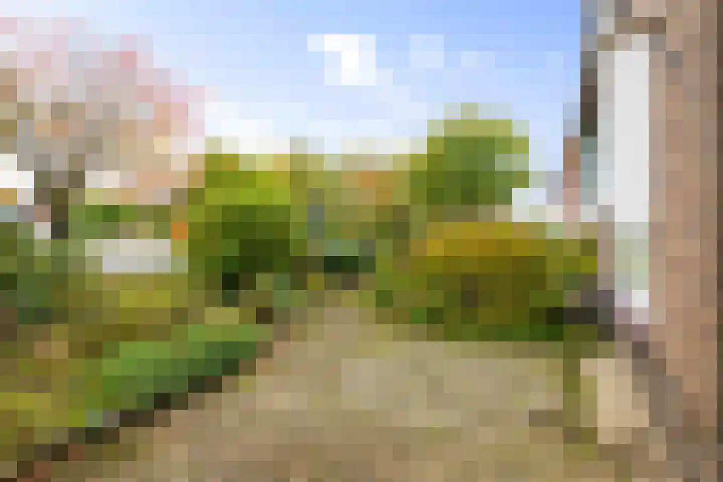 Burgemeester Bloemersstraat 59 Borculo thumbnail 51