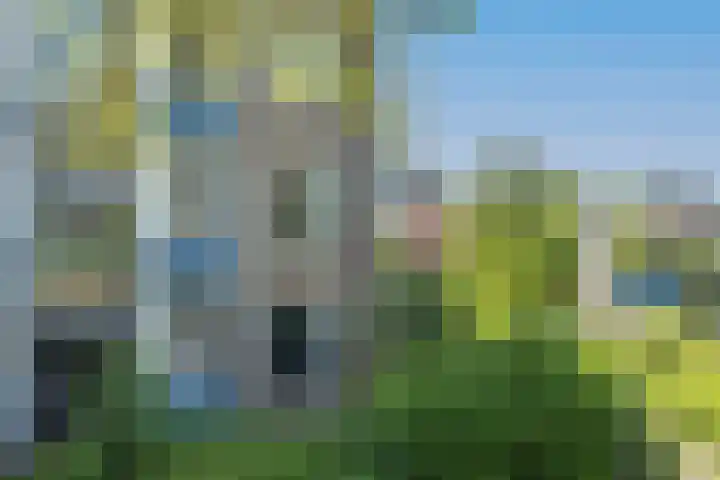 Burgemeester Bloemersweg 32 2 Arnhem thumbnail 6