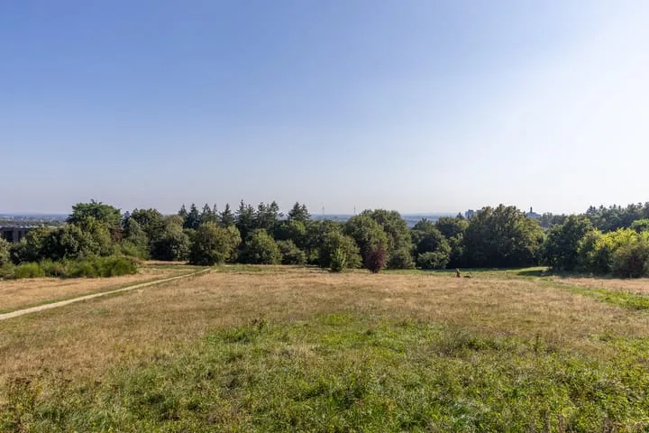 Burgemeester Bloemersweg 42 3 Arnhem thumbnail 36