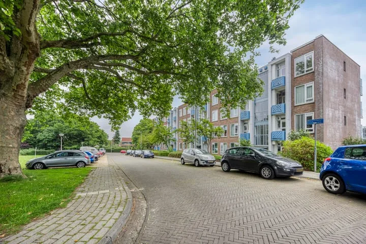 Burgemeester Bloemersweg 42 3 Arnhem thumbnail 6
