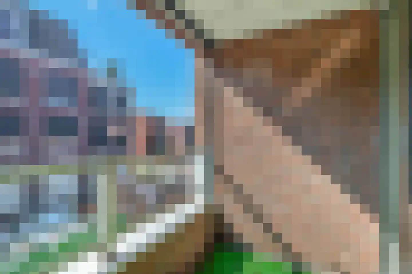 Burgemeester Boerstraat 14 Zevenhuizen thumbnail 13