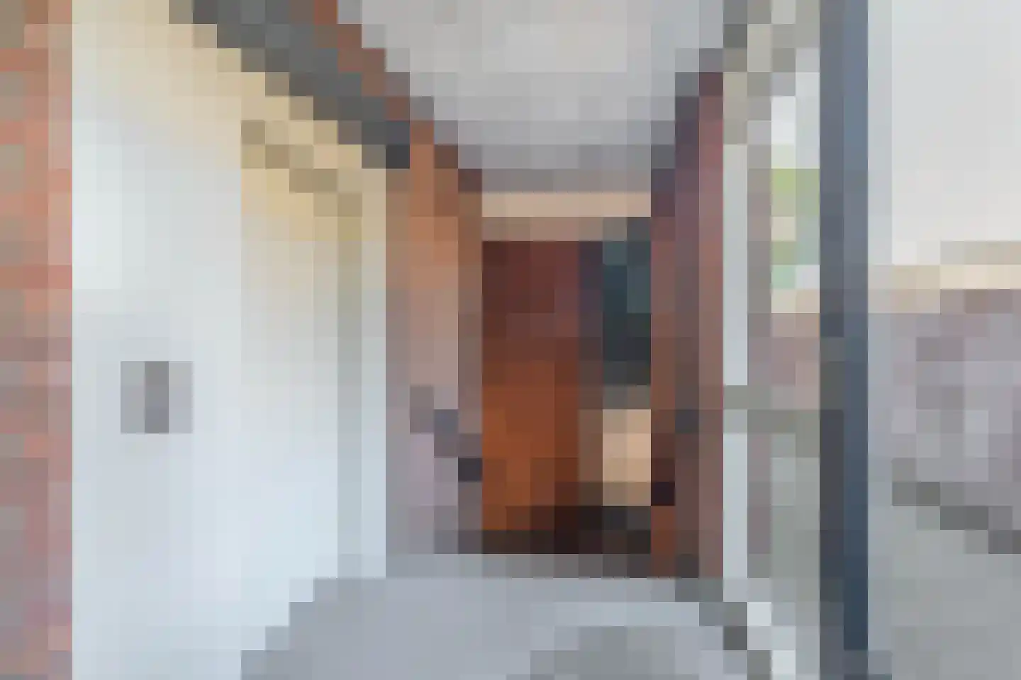 Burgemeester Boerstraat 14 Zevenhuizen thumbnail 7