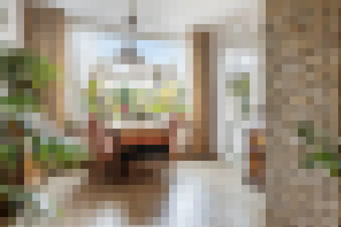 Burgemeester Boerstraat 17 Zevenhuizen thumbnail 10