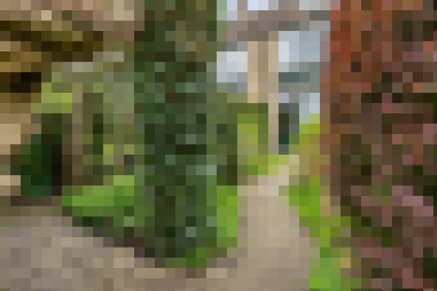 Burgemeester Boerstraat 17 Zevenhuizen thumbnail 31