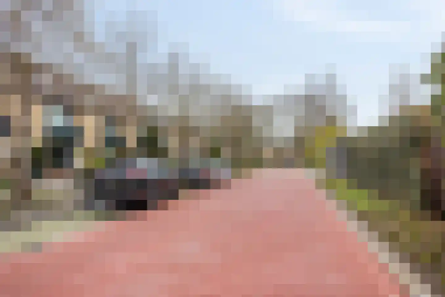 Burgemeester Boerstraat 17 Zevenhuizen thumbnail 35