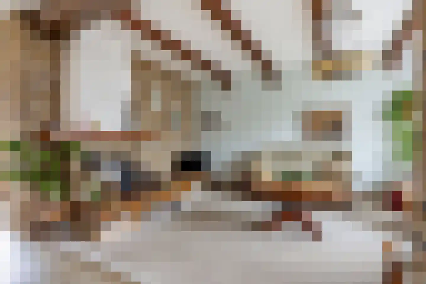 Burgemeester Boerstraat 17 Zevenhuizen thumbnail 7
