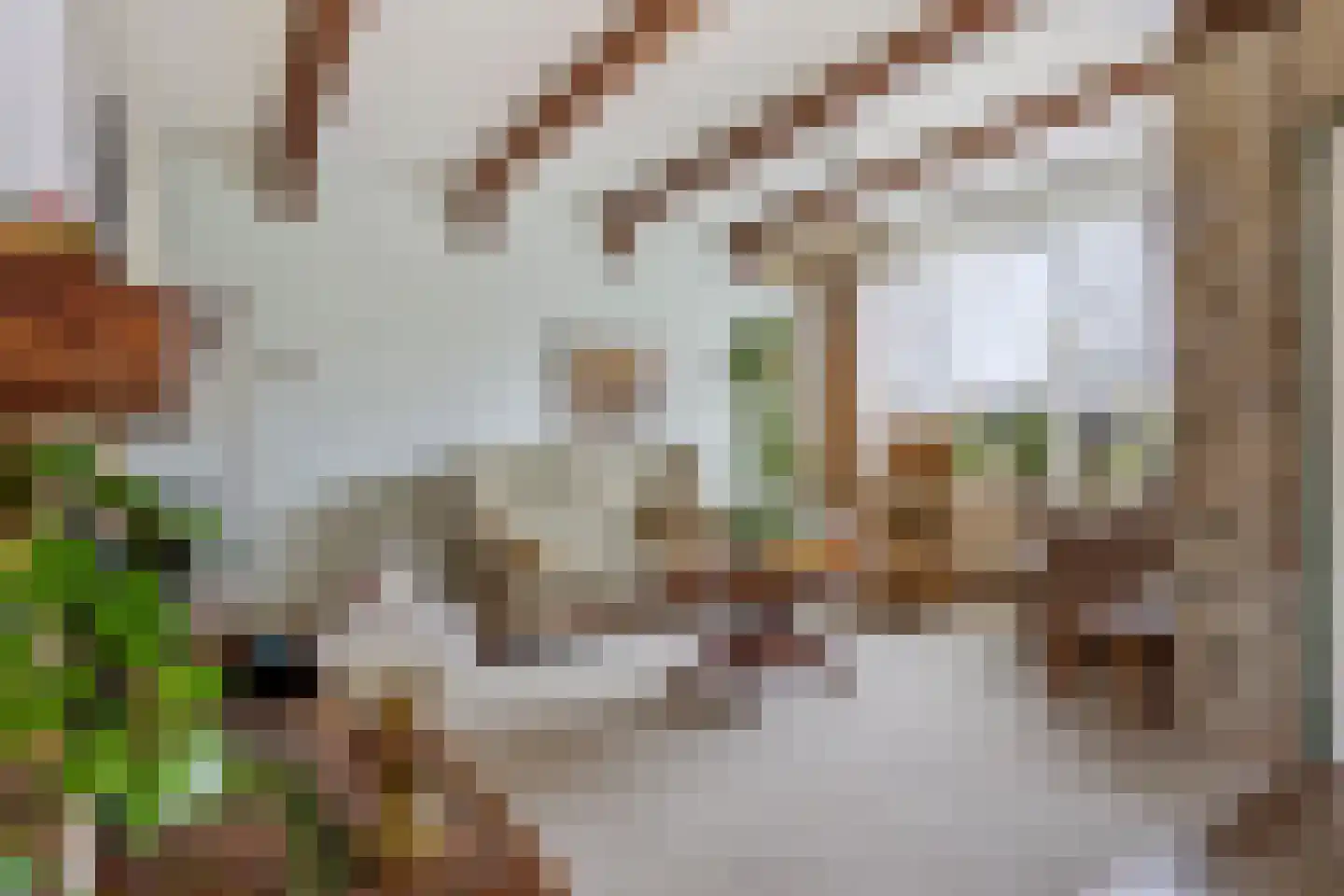 Burgemeester Boerstraat 17 Zevenhuizen thumbnail 8