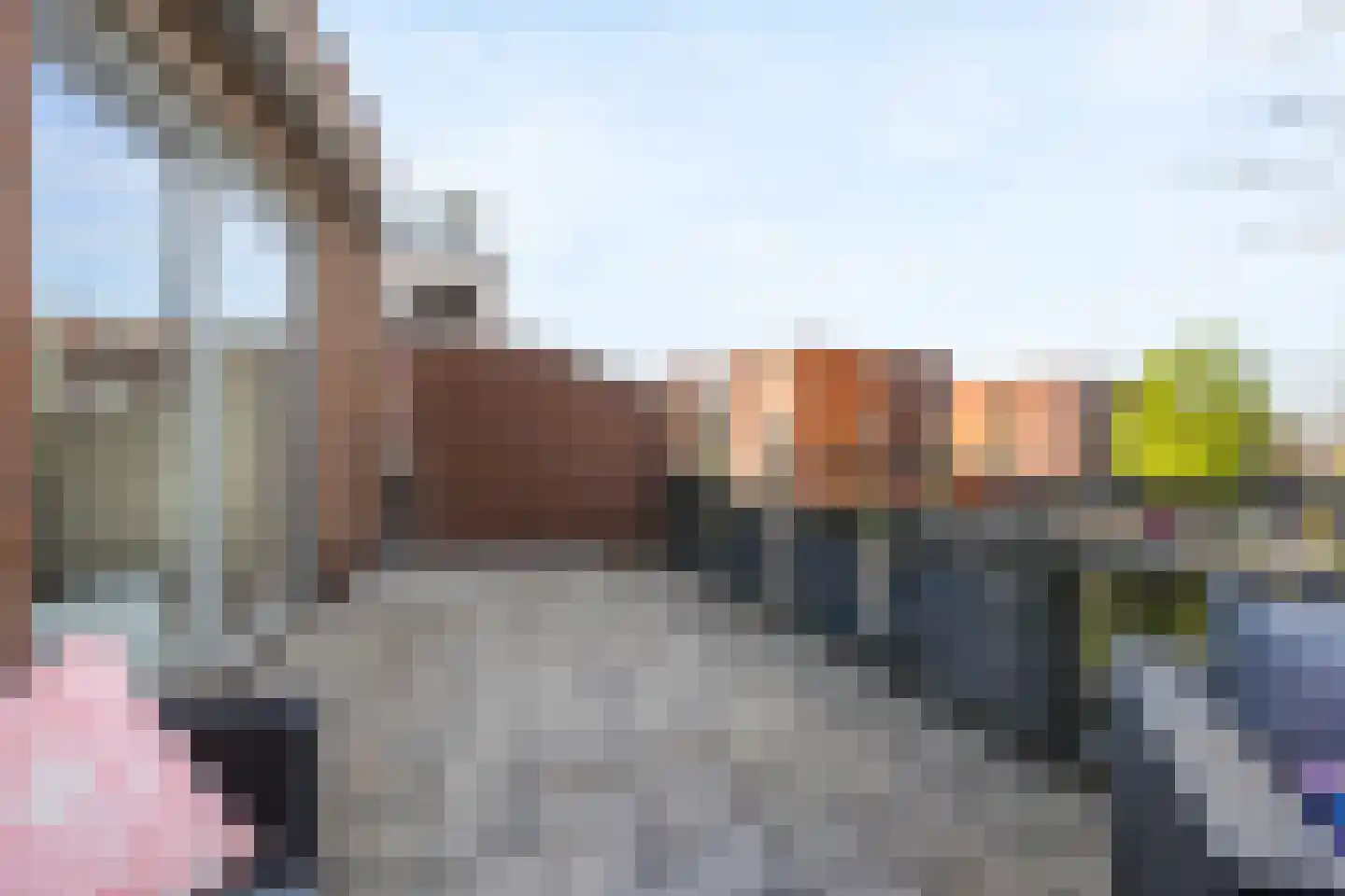 Burgemeester Boerstraat 18 Zevenhuizen thumbnail 13