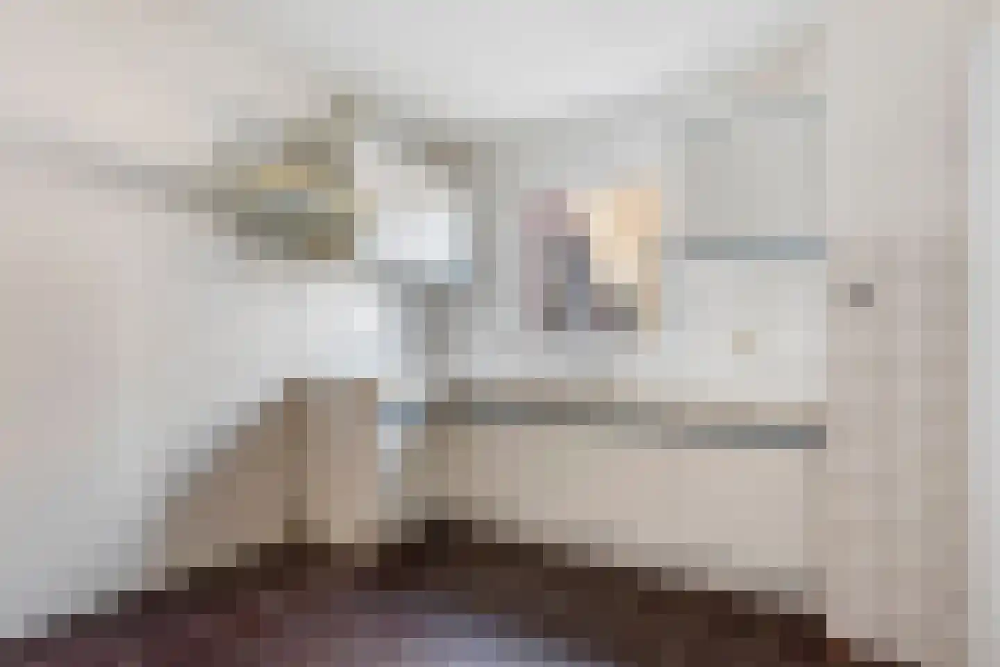 Burgemeester Boerstraat 18 Zevenhuizen thumbnail 14