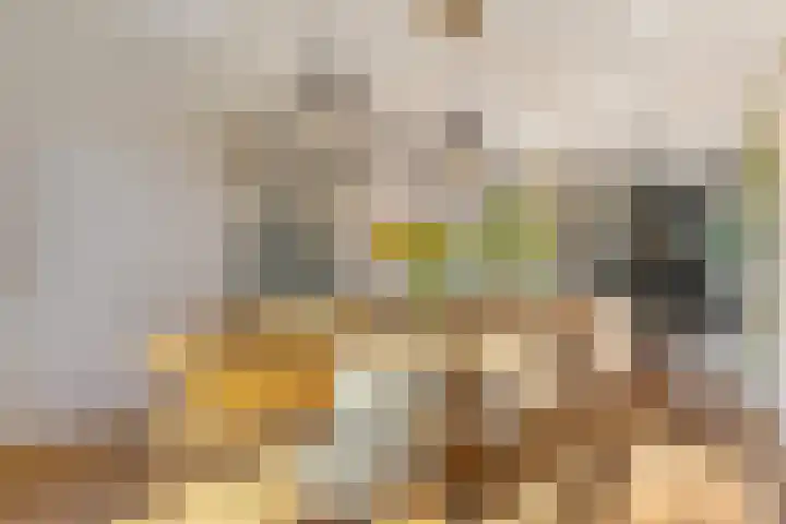 Burgemeester Boldinghlaan 14 Tuk thumbnail 17