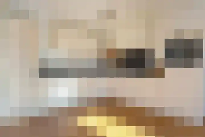 Burgemeester Boldinghlaan 14 Tuk thumbnail 20