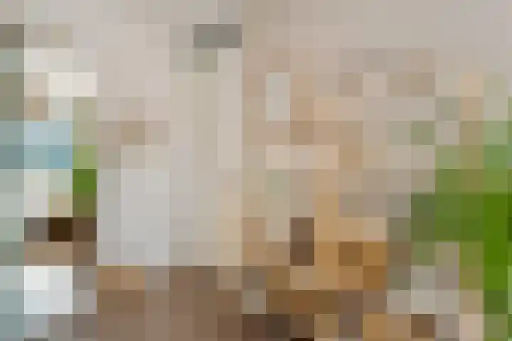 Burgemeester Boldinghlaan 14 Tuk thumbnail 34