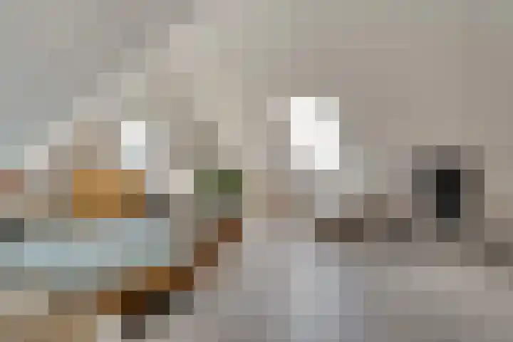 Burgemeester Boldinghlaan 14 Tuk thumbnail 36