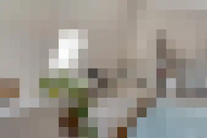 Burgemeester Boldinghlaan 14 Tuk thumbnail 37
