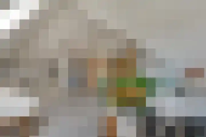 Burgemeester Boldinghlaan 14 Tuk thumbnail 38