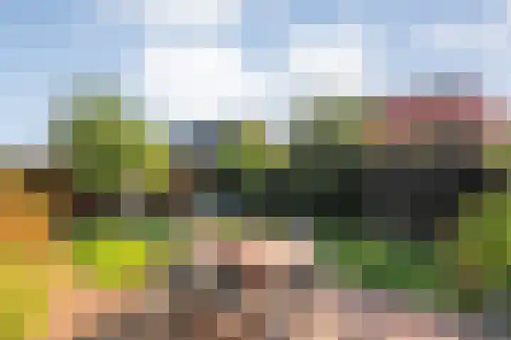 Burgemeester Boldinghlaan 14 Tuk thumbnail 41