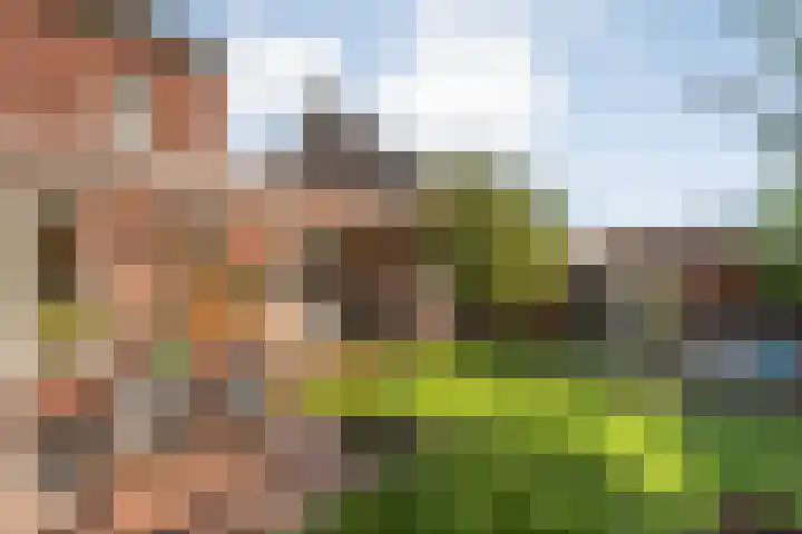 Burgemeester Boldinghlaan 14 Tuk thumbnail 42