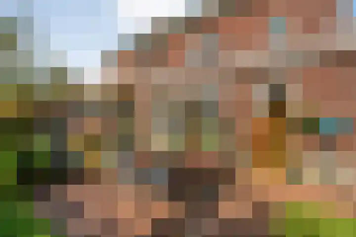 Burgemeester Boldinghlaan 14 Tuk thumbnail 43