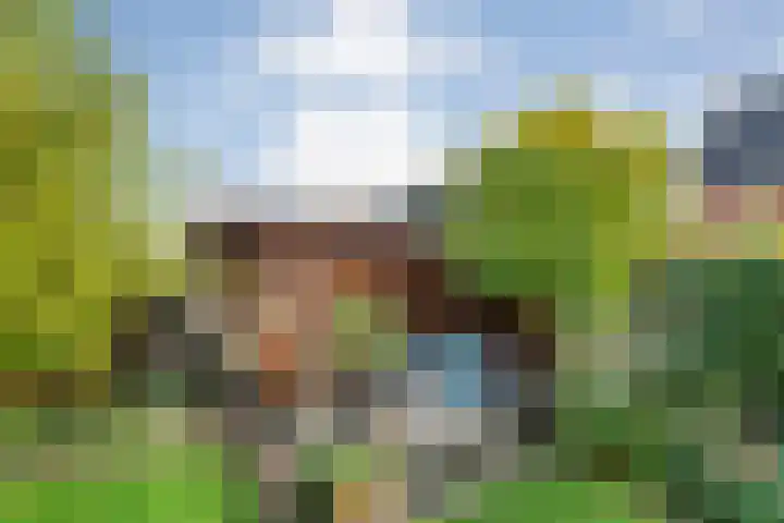 Burgemeester Boldinghlaan 14 Tuk thumbnail 44