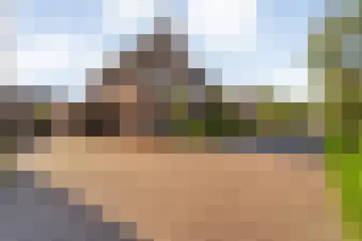 Burgemeester Boldinghlaan 14 Tuk thumbnail 47