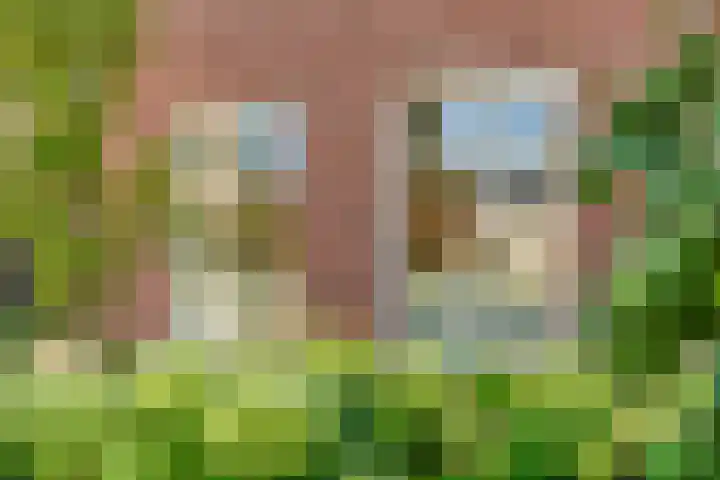 Burgemeester Boldinghlaan 14 Tuk thumbnail 48