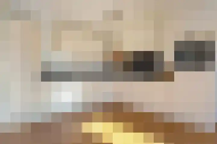 Burgemeester Boldinghlaan 14 Tuk thumbnail 5