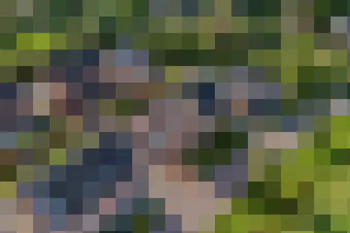 Burgemeester Boldinghlaan 14 Tuk thumbnail 51