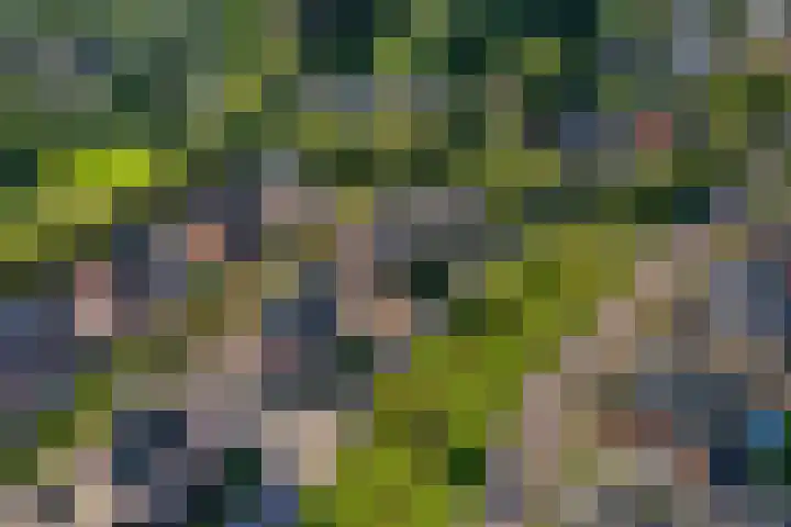 Burgemeester Boldinghlaan 14 Tuk thumbnail 52