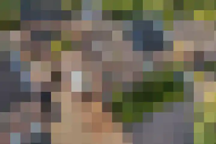 Burgemeester Boldinghlaan 14 Tuk thumbnail 7