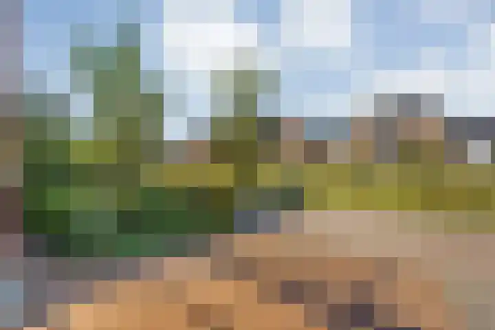 Burgemeester Boldinghlaan 14 Tuk thumbnail 8