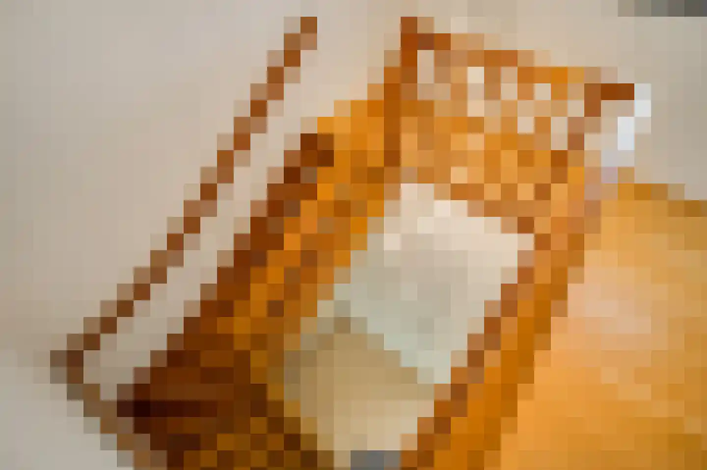 Burgemeester Bongaartslaan 11 Heel thumbnail 35