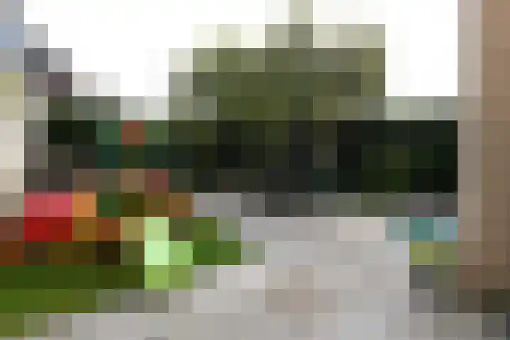 Burgemeester Bongaartslaan 40 Heel thumbnail 36