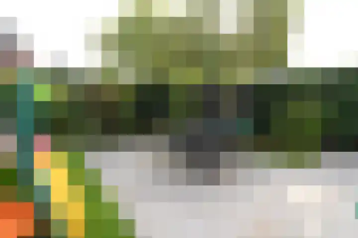 Burgemeester Bongaartslaan 40 Heel thumbnail 39