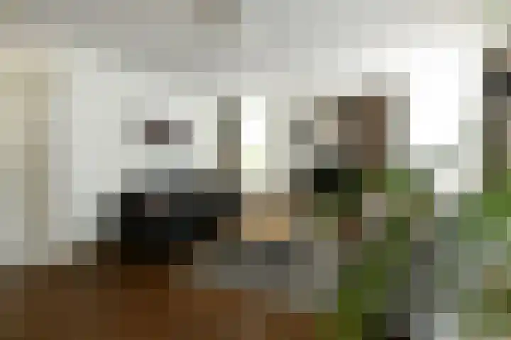 Burgemeester Bongaartslaan 40 Heel thumbnail 5