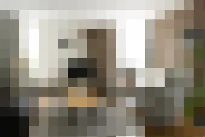 Burgemeester Bongaartslaan 40 Heel thumbnail 6