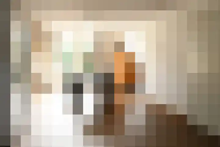 Burgemeester Bongaartslaan 40 Heel thumbnail 8