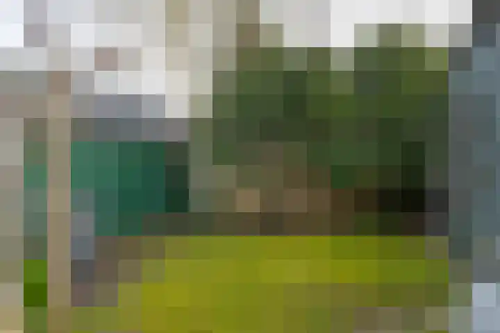 Burgemeester Borgerstraat 6 Roden thumbnail 42