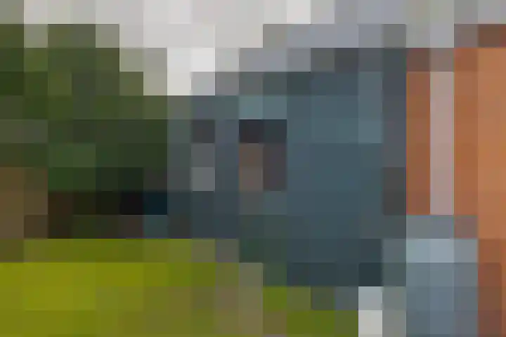 Burgemeester Borgerstraat 6 Roden thumbnail 43