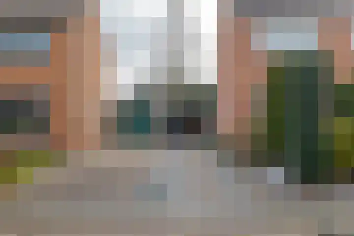 Burgemeester Borgerstraat 6 Roden thumbnail 47