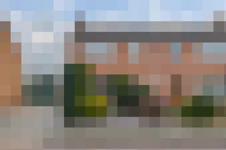 Burgemeester Borgerstraat 6 Roden thumbnail 5