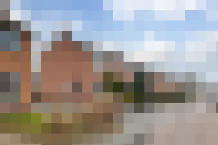 Burgemeester Borgerstraat 6 Roden thumbnail 6