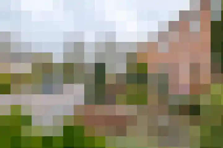 Burgemeester Borgerstraat 6 Roden thumbnail 8