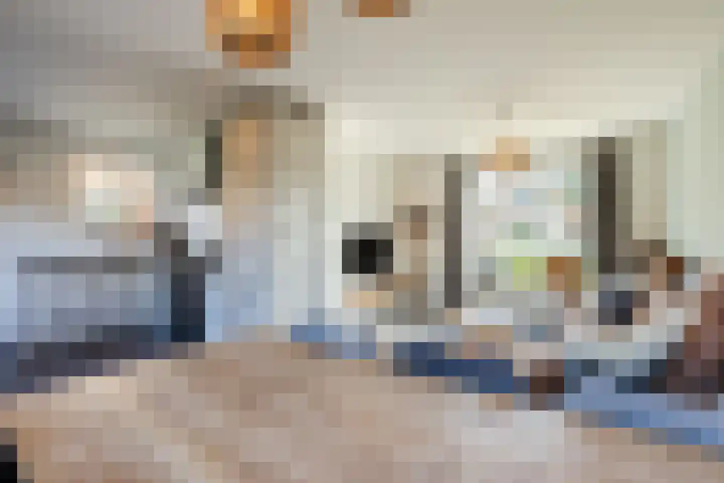Burgemeester Bosmaweg 17 Ruinerwold thumbnail 10