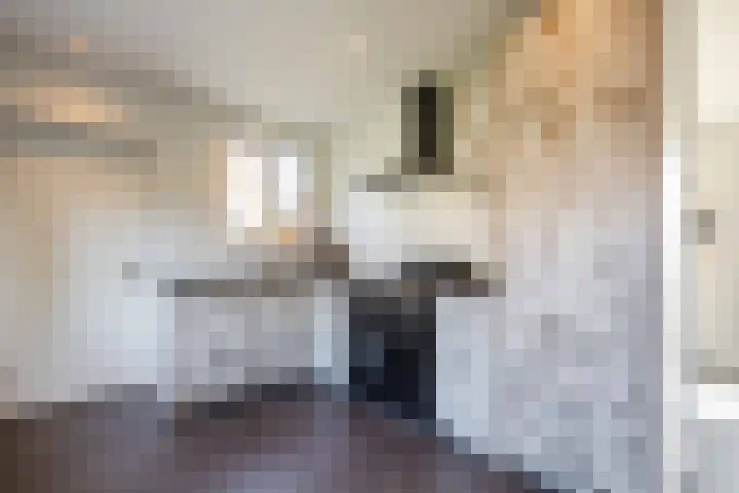 Burgemeester Bosmaweg 17 Ruinerwold thumbnail 12