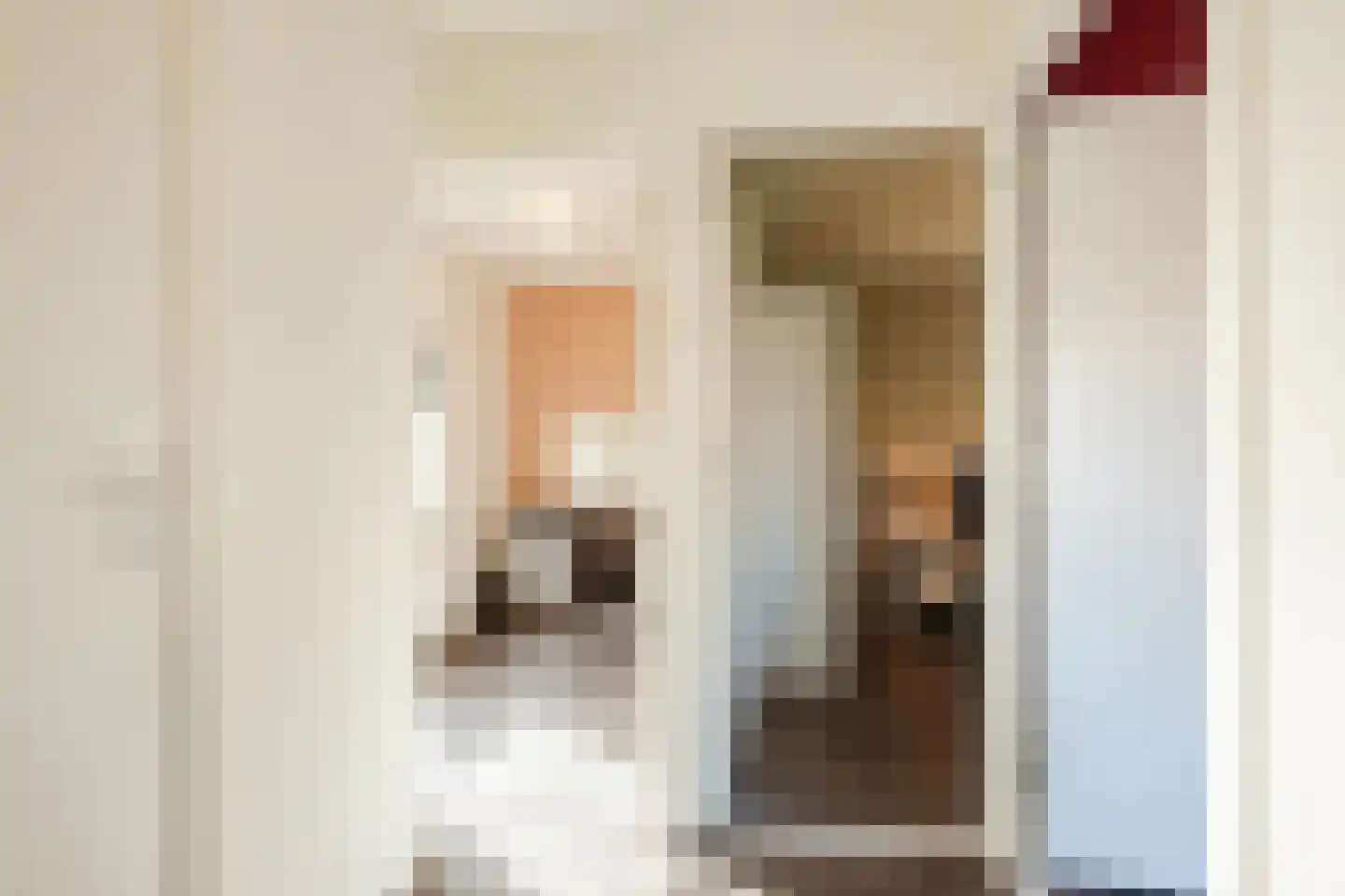 Burgemeester Bosmaweg 17 Ruinerwold thumbnail 23