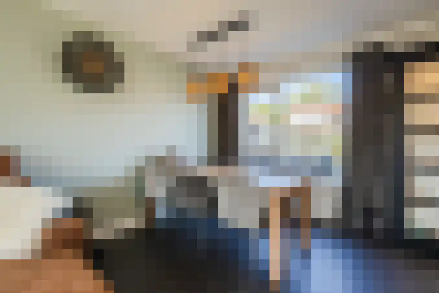 Burgemeester Bosmaweg 17 Ruinerwold thumbnail 8