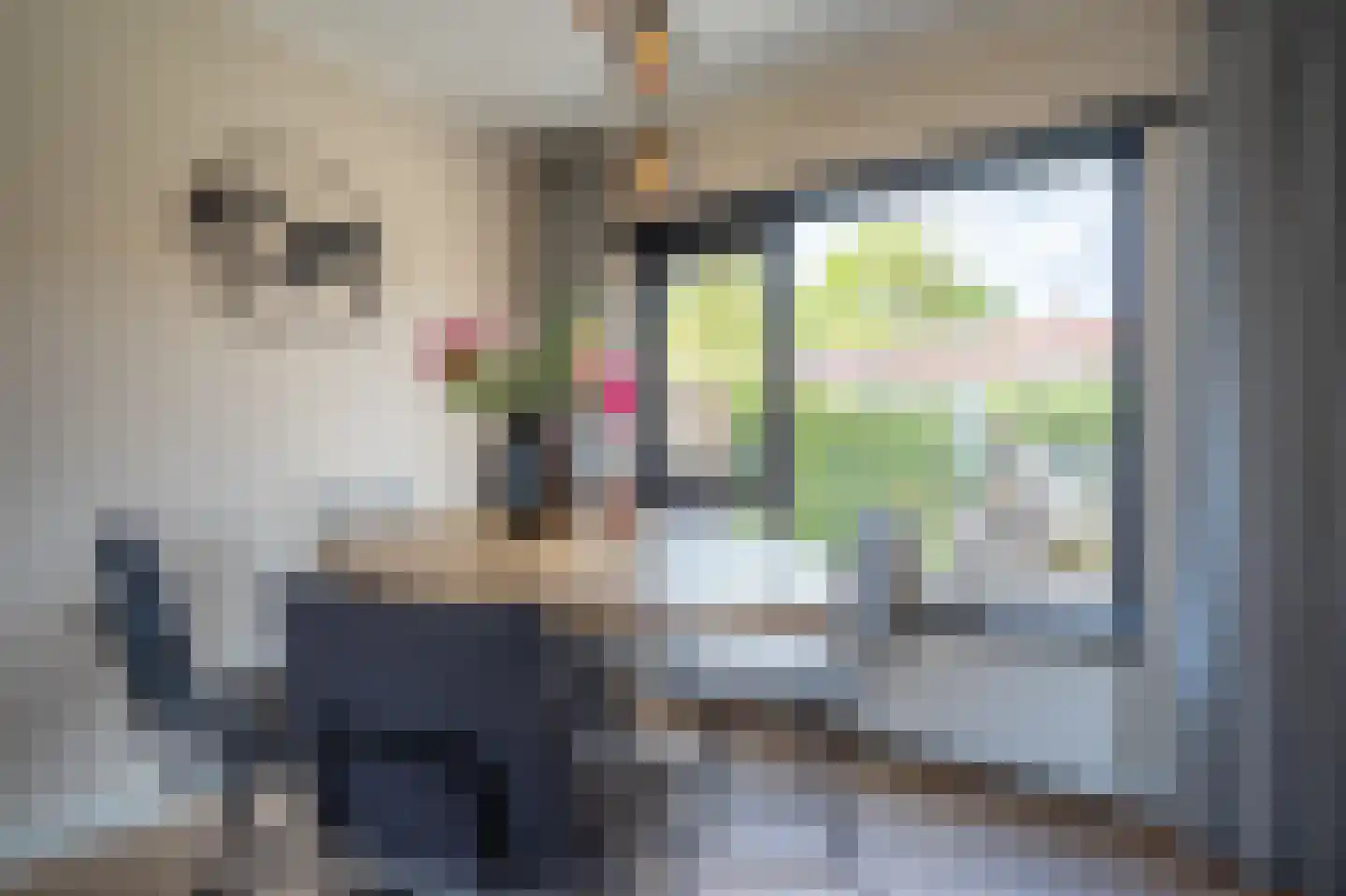 Burgemeester Bosmaweg 5 Ruinerwold thumbnail 12